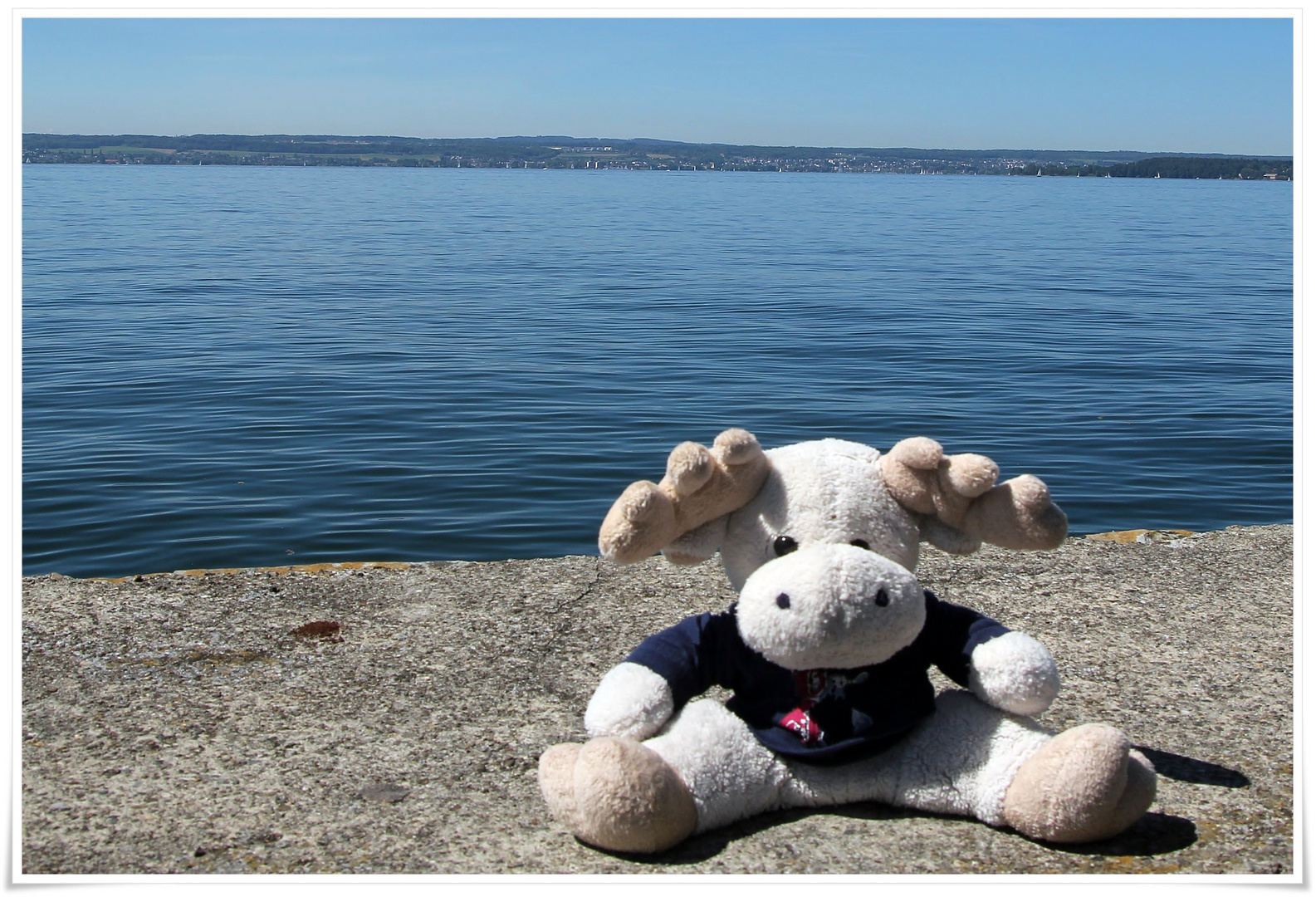 Tag 19 - Poppel am Bodensee