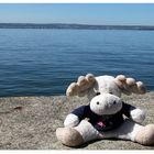 Tag 19 - Poppel am Bodensee