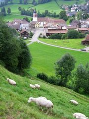 Tag 2: Steigung auf dem Weg nach St. Gallen (Rückblickend)