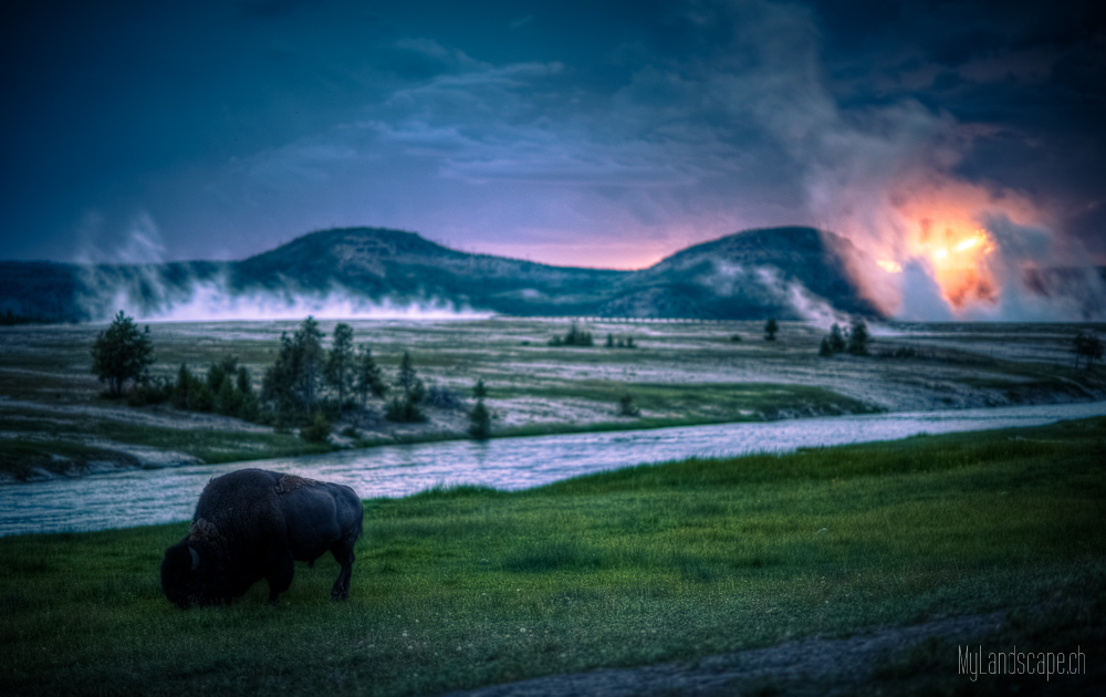 Tag 26: Yellowstone Nationalpark (Madison)