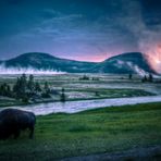 Tag 26: Yellowstone Nationalpark (Madison)