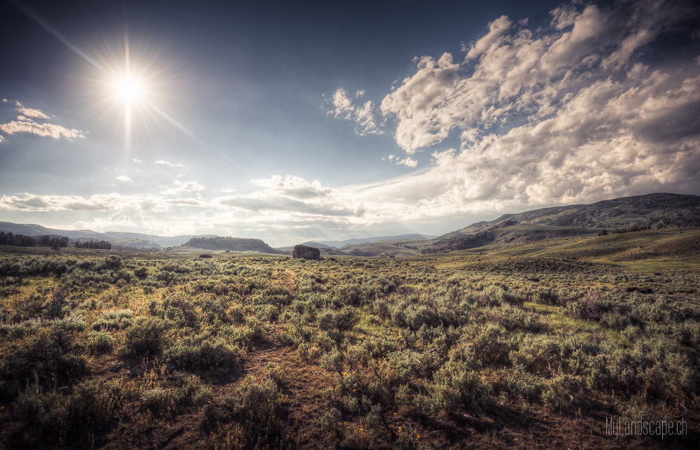 Tag 27: Yellowstone national park (Lamar/Dunraven)