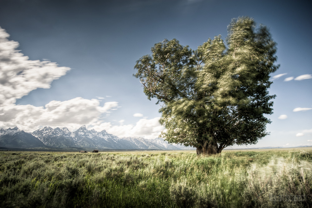 Tag 30: Grand Tetons Nationalpark