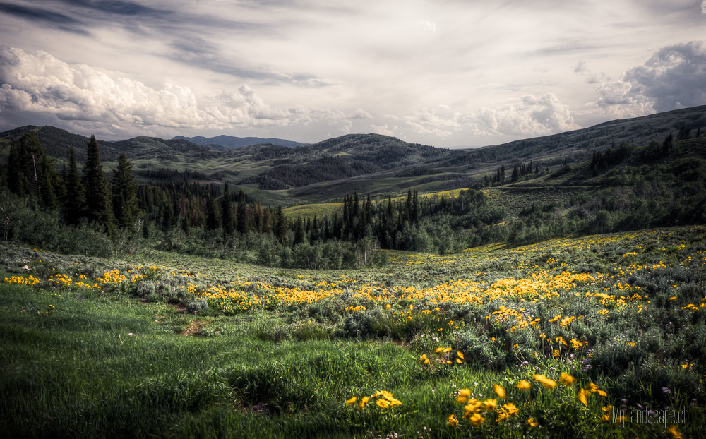 Tag 31: Von Wyoming nach Utah