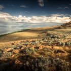 Tag 32: Antelope Island