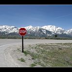 Tag 4-8: Auf dem Weg zum Yellowstone "STOP"