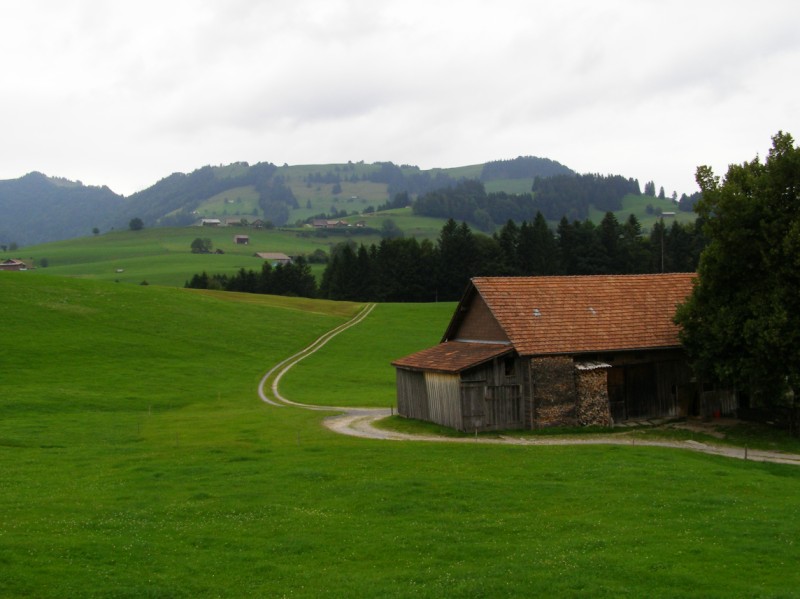 Tag 4: Auf dem Rickenpass