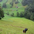 Tag 8: Der direkte Weg ist nicht immer der beste Weg