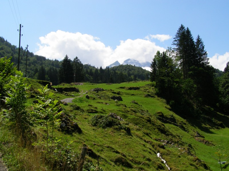 Tag 9: Über den Brünigpass ( ca. 1000m)