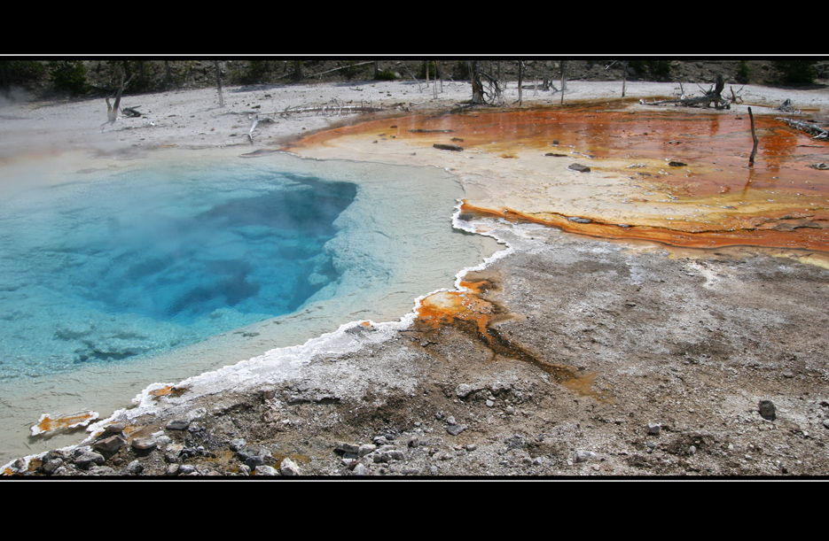 Tag 9: Unterwegs im Yellowstone N.P. "2 Colors"