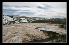 Tag 9: Unterwegs im Yellowstone N.P. "Basins & Co"