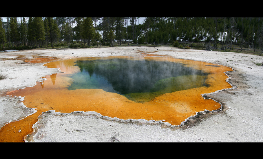 Tag 9: Unterwegs im Yellowstone N.P. "Orange"