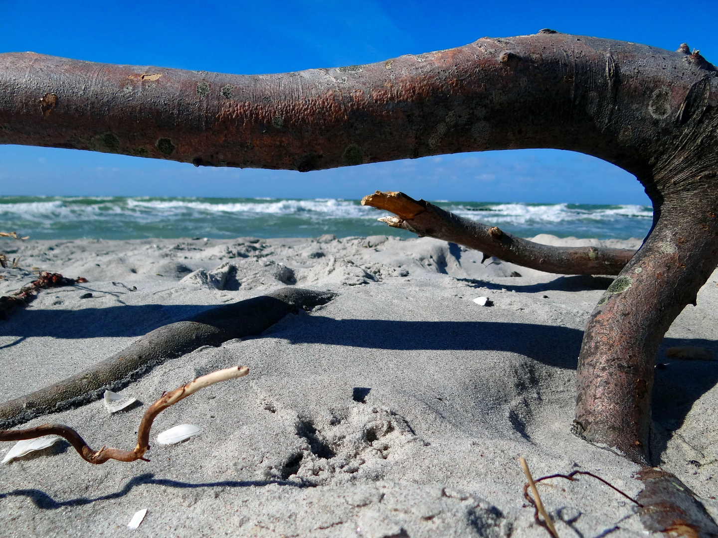 Tag am Meer Foto & Bild sommer, wasser, sonne Bilder auf