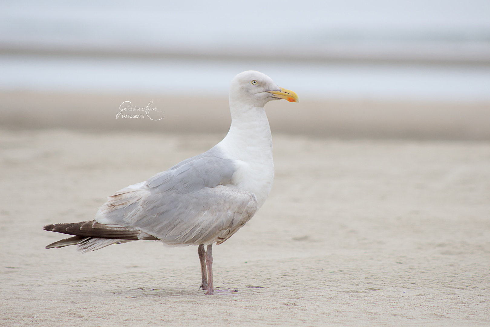 Tag am Meer