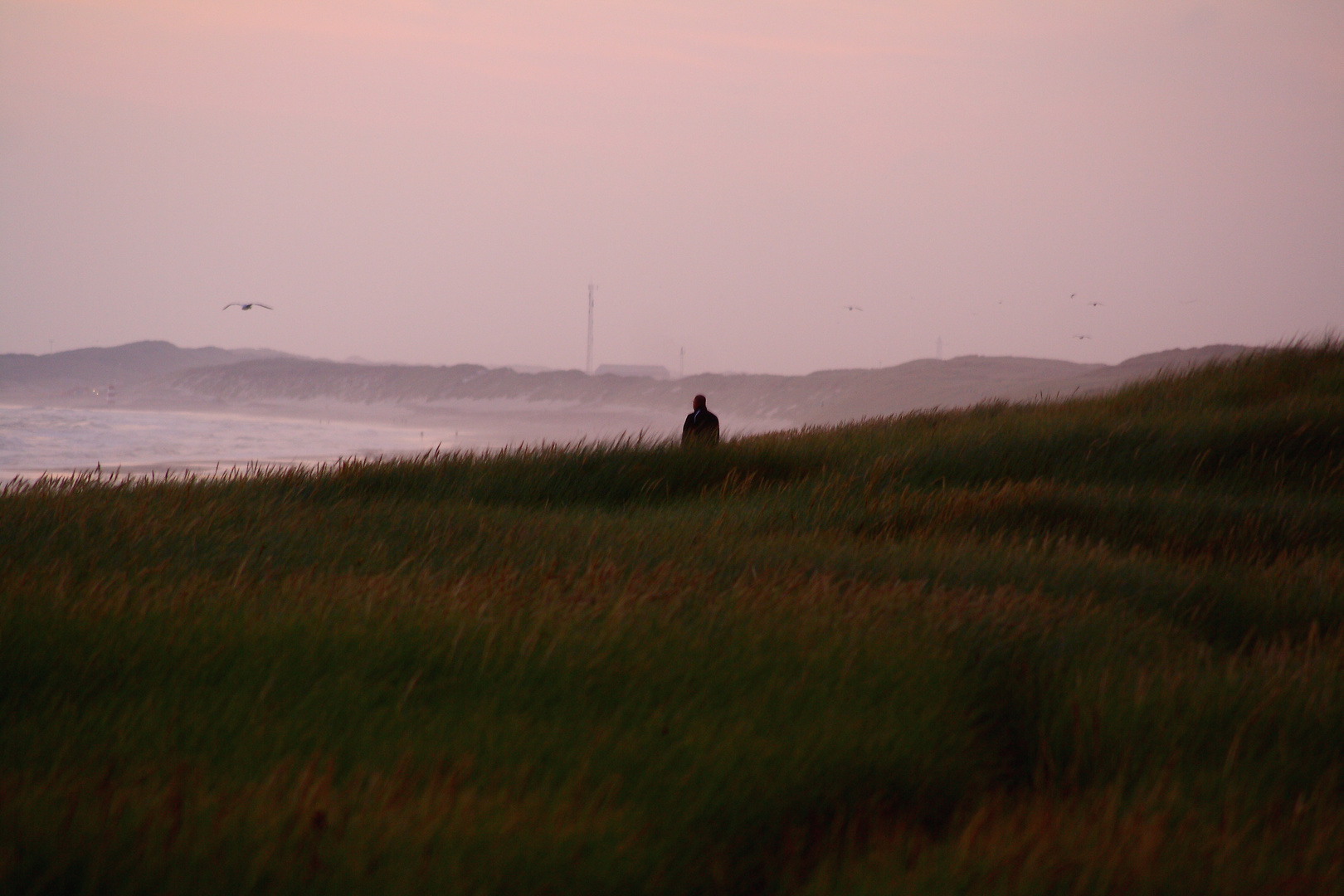 Tag am Meer