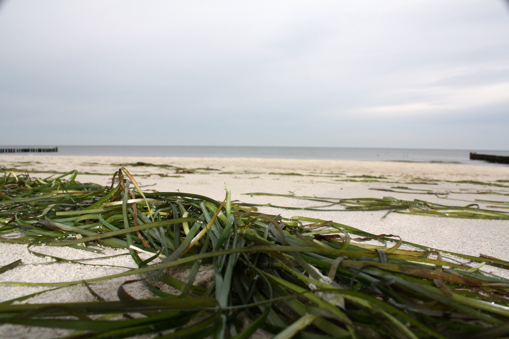 Tag am Meer