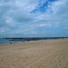 tag am meer - coney island