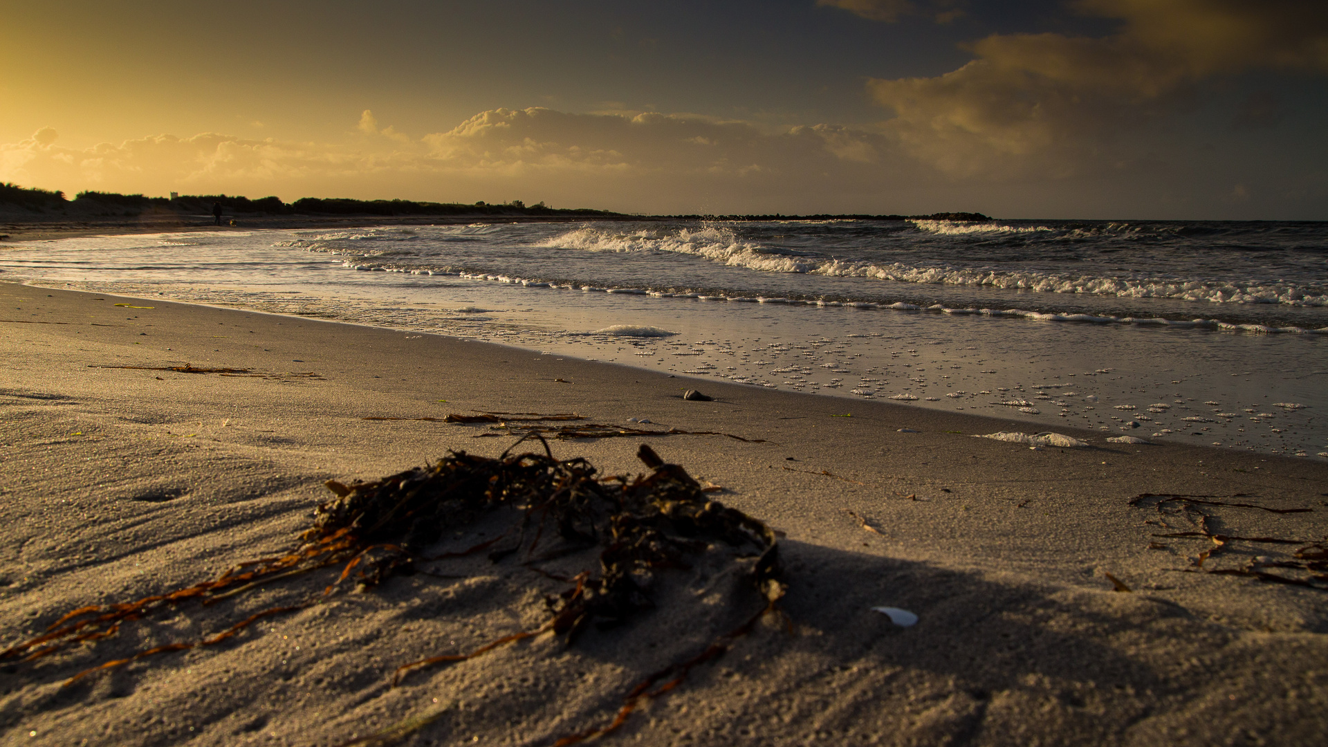 Tag am Meer