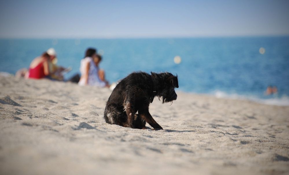 Tag am Meer