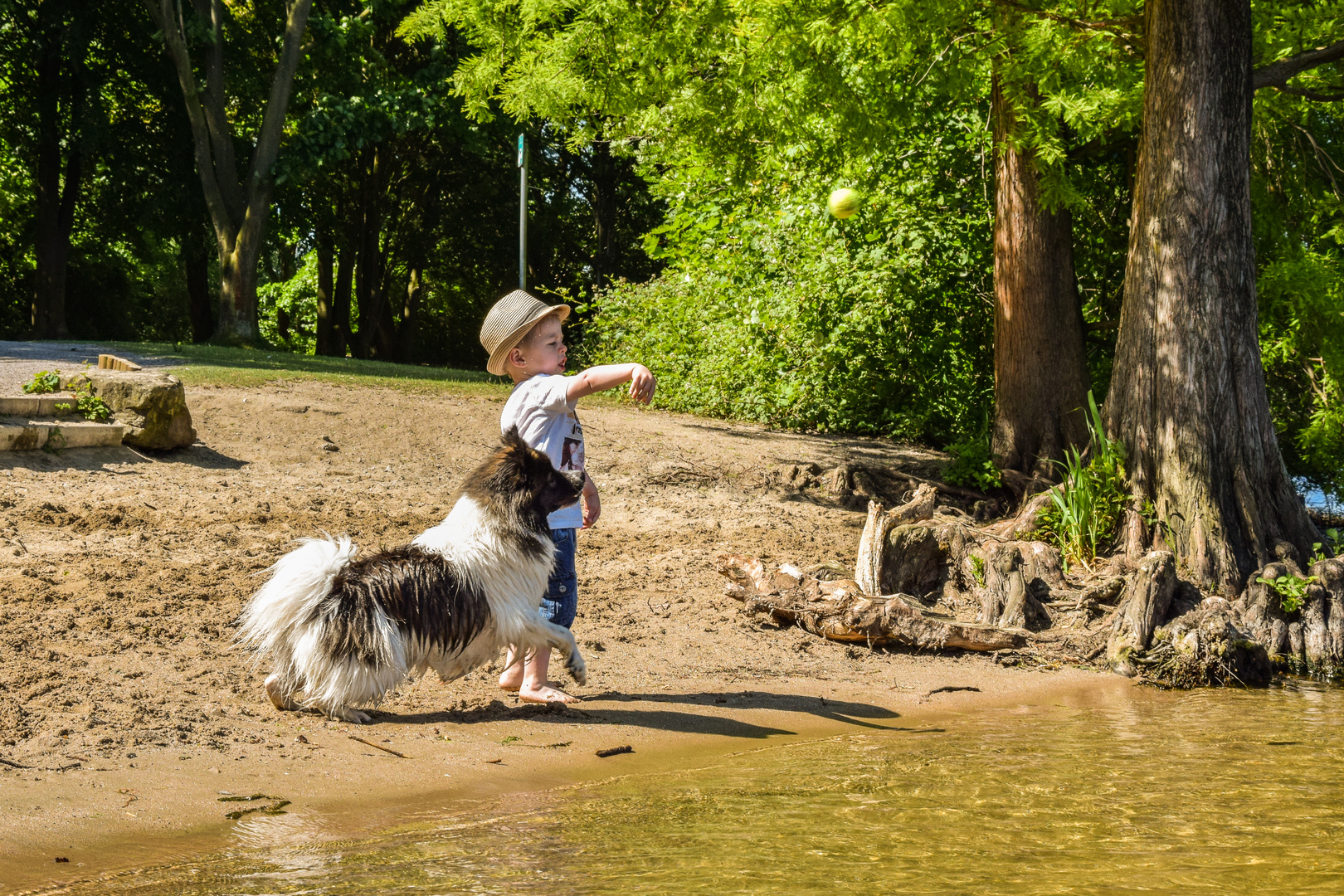 Tag am See