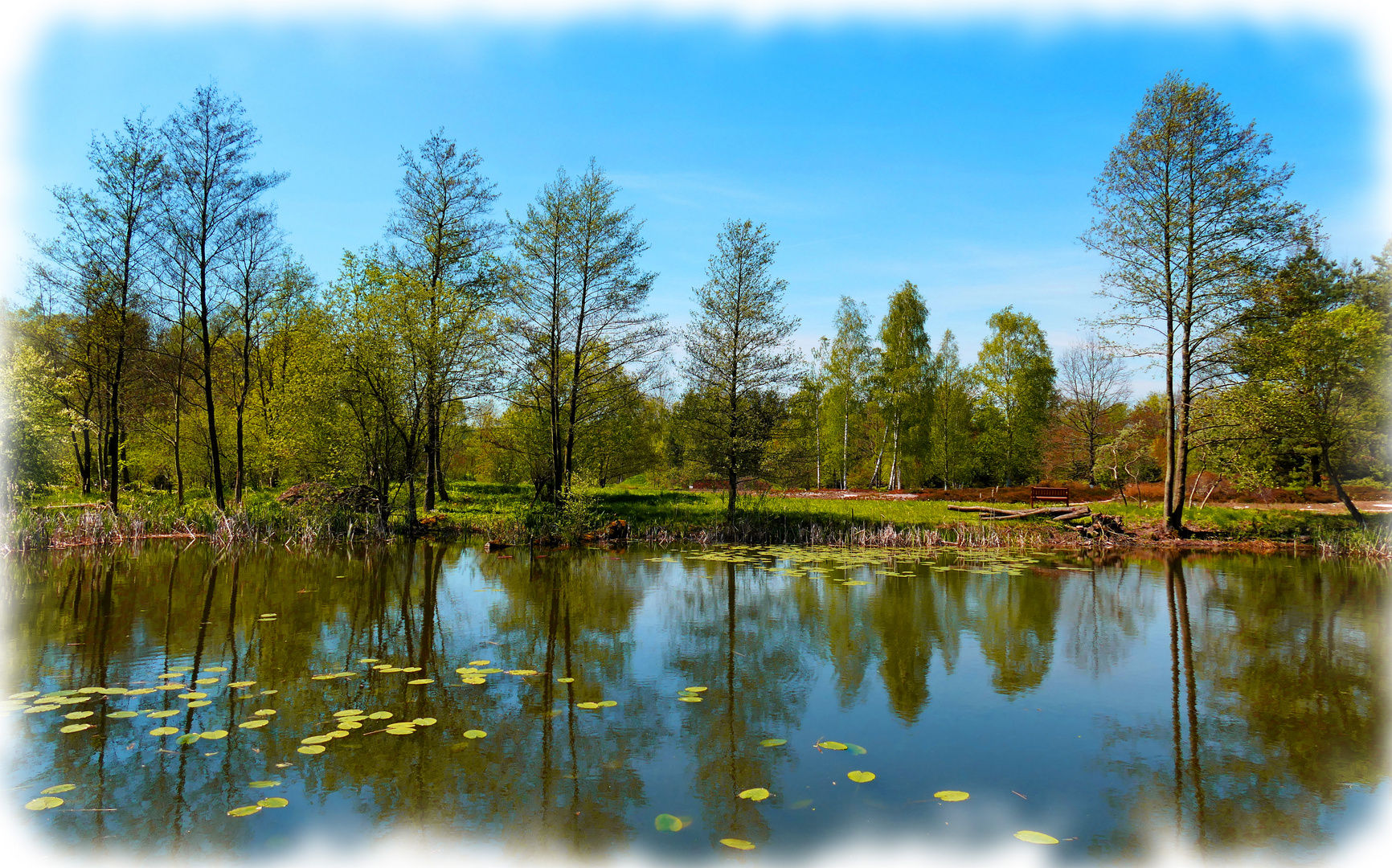 Tag am See