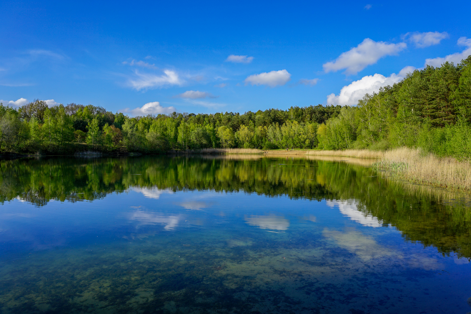 Tag am See