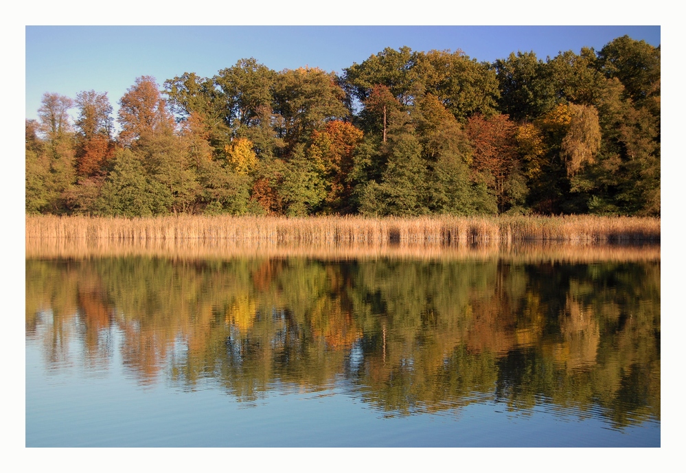 Tag am See