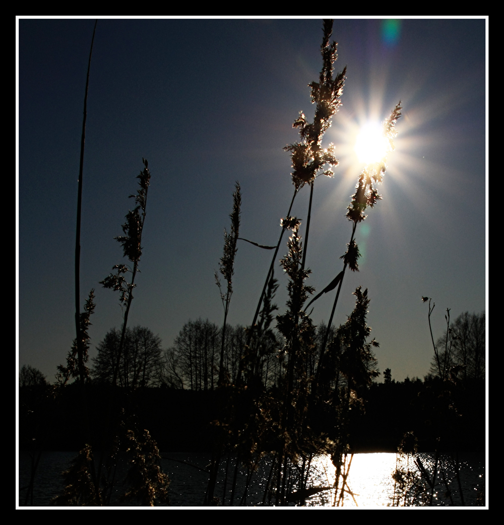 Tag am See