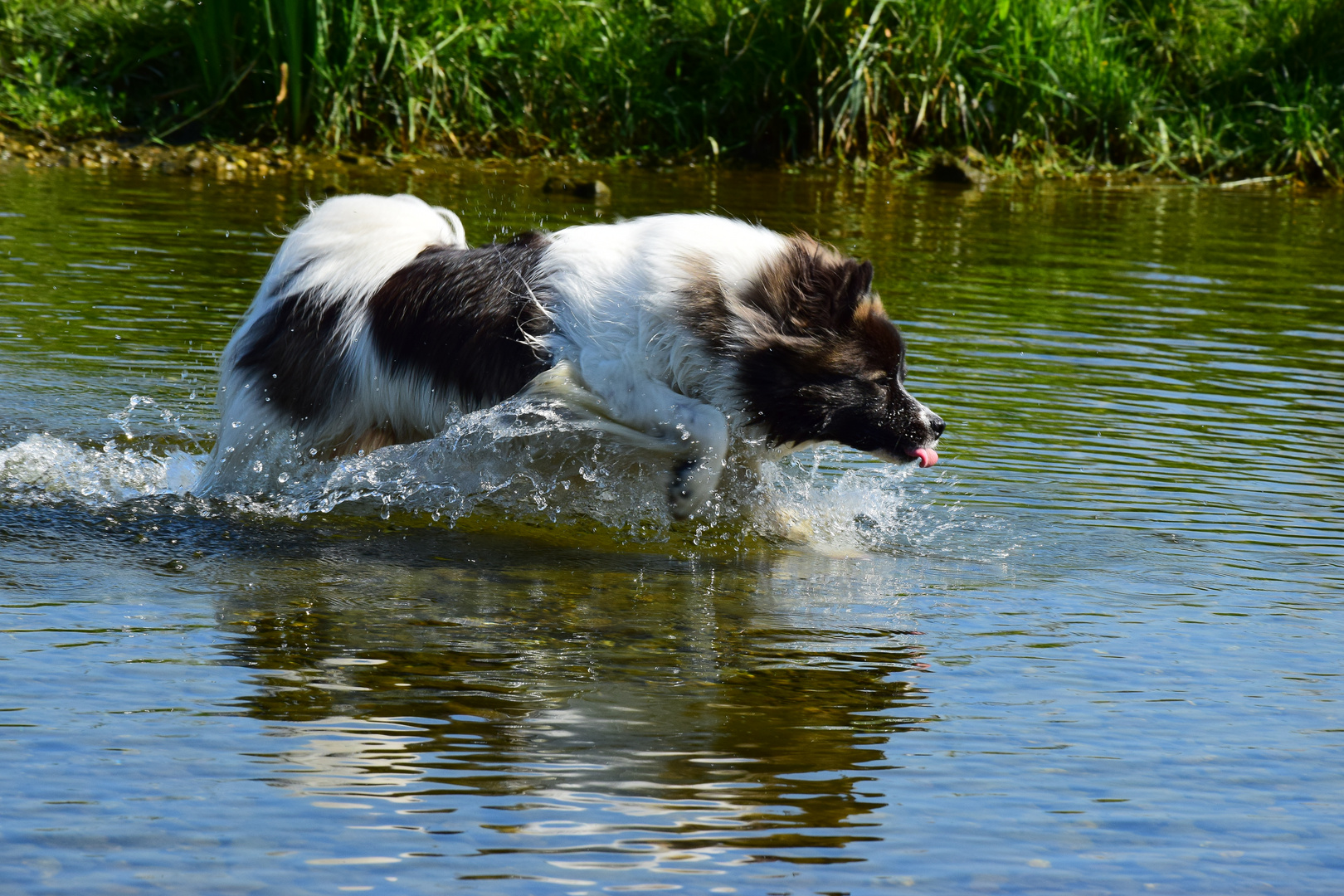 Tag am See