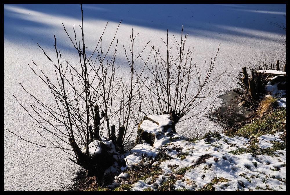 Tag am See