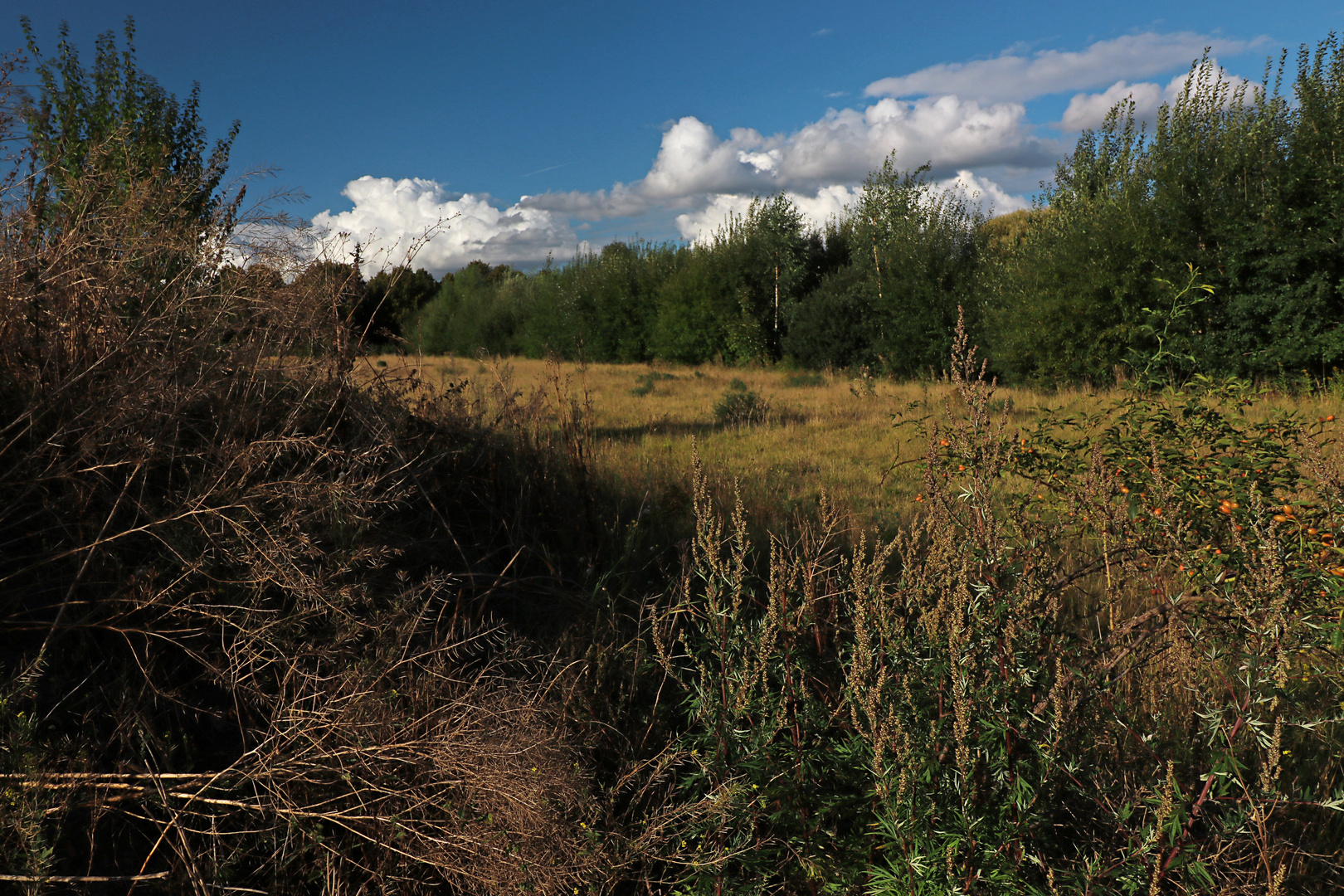 Tag, der den Sommer endet