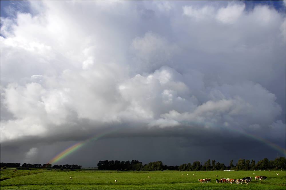 Tag der Regenbögen