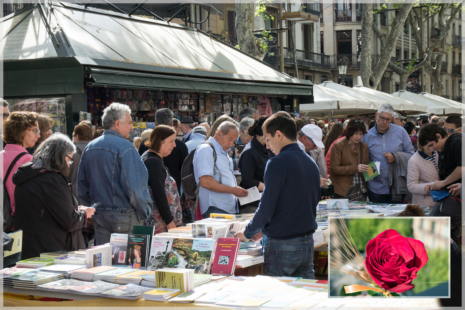 Tag des Buches und der Rose,  Barcelona