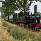 Tag des Eisenbahnfreundes