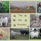 Tag des Hundes