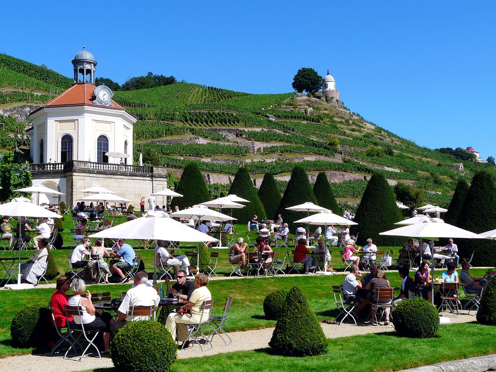 Tag des offenen Weinguts - Schloß Wackerbarth