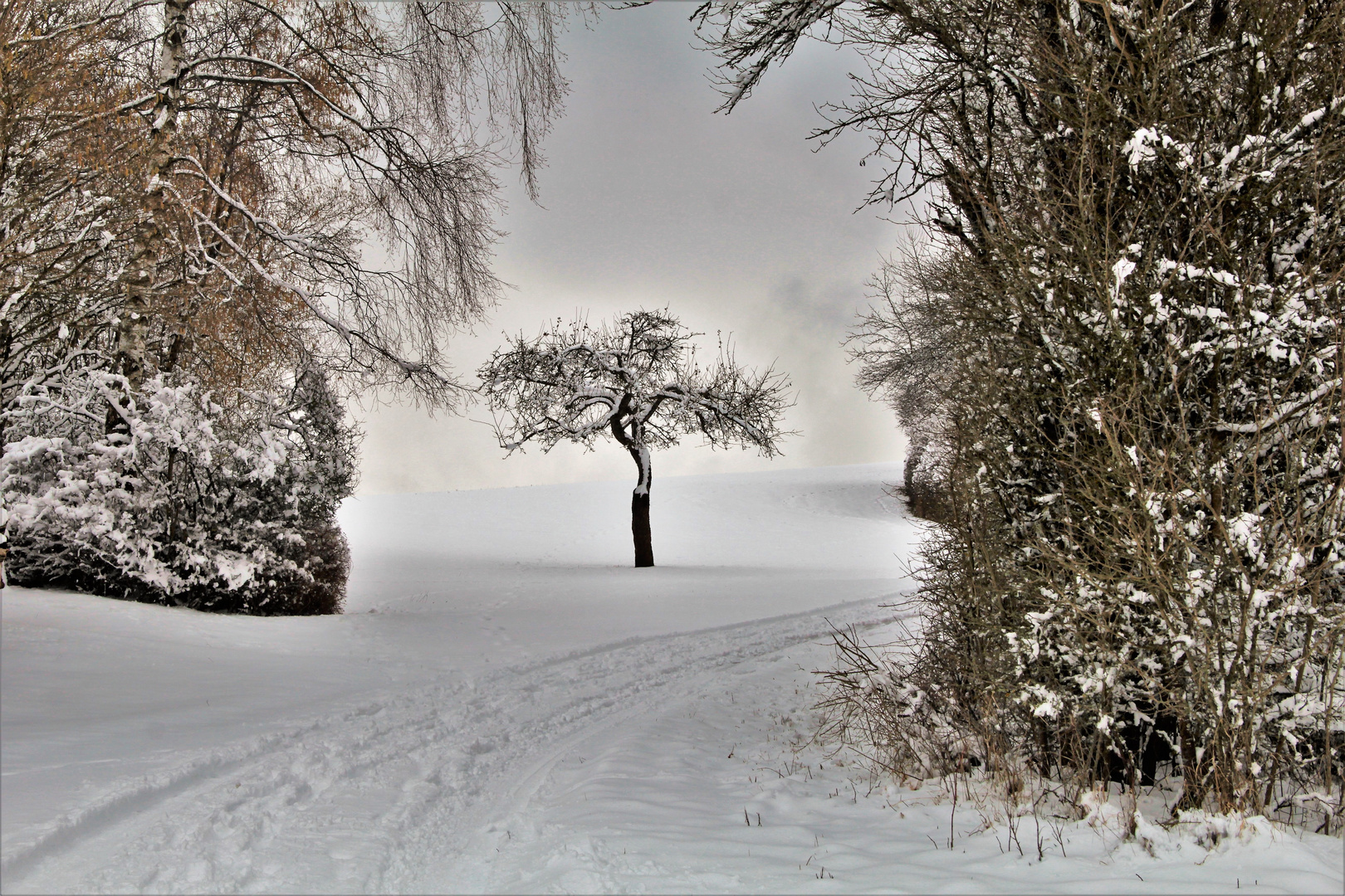 Tag im Schnee