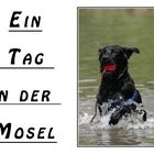 "Tag in der Mosel" Nene