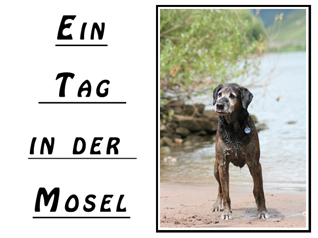 "Tag in der Mosel" Taz