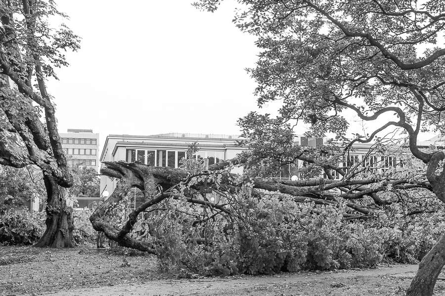 Tag nach dem Gewitter