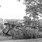 Tag nach dem Gewitter