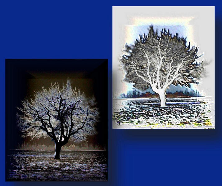 Tag & Nacht Baum von Martin Schibig