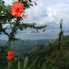 Tagaytay (südlich von Manila)