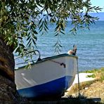 Thassos