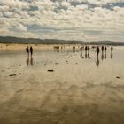 Tage am Strand