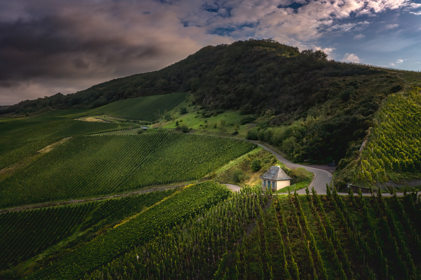 Tage im Weinberg