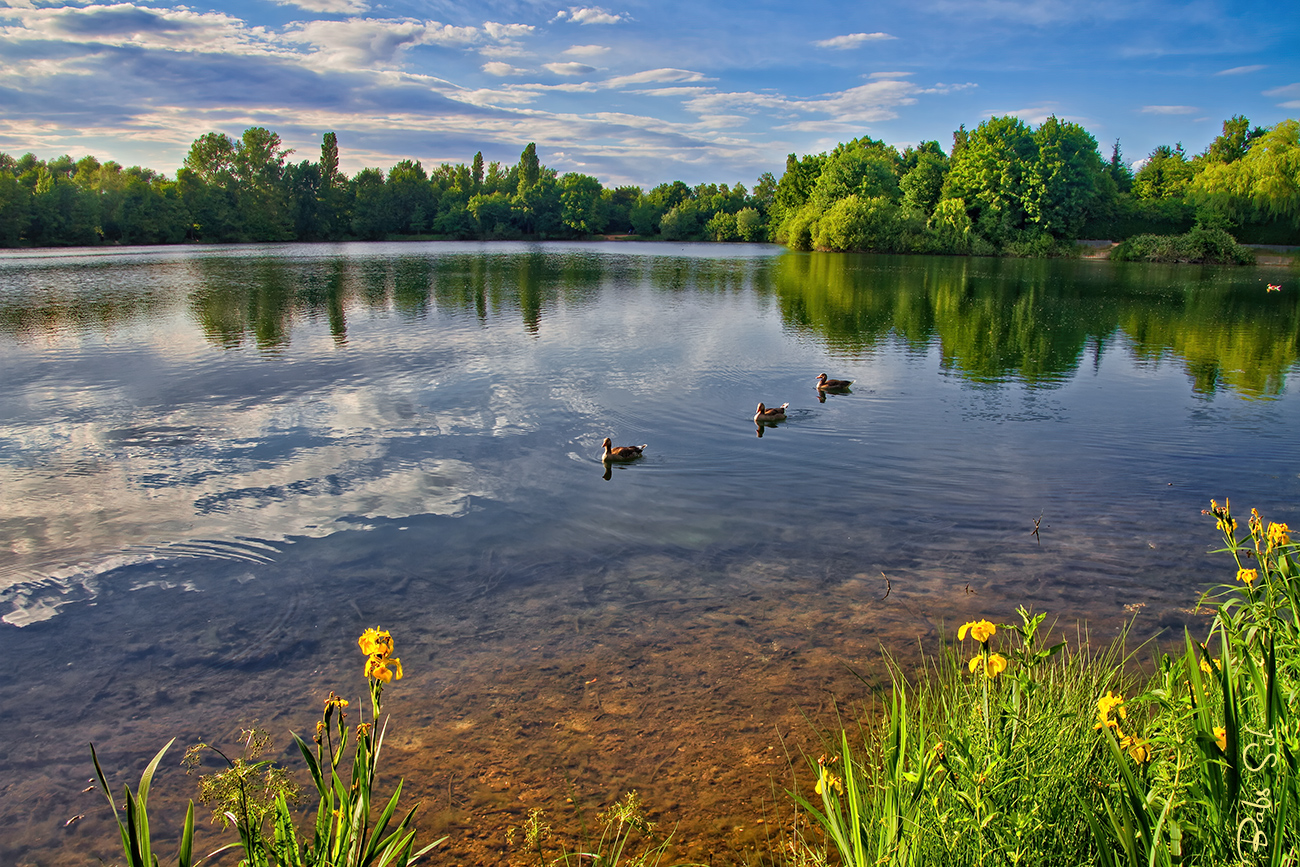 Tage mit der Natur,