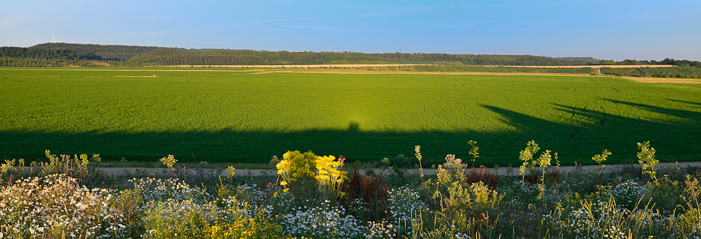 Tagebau Bergheim