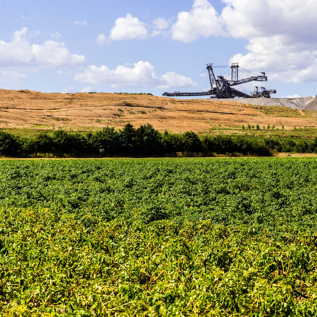 Tagebau im Braunkohlerevier