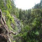 Tagebau im Wald